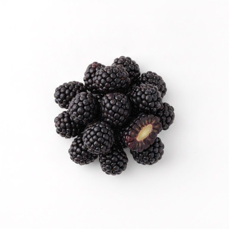 Blackberries