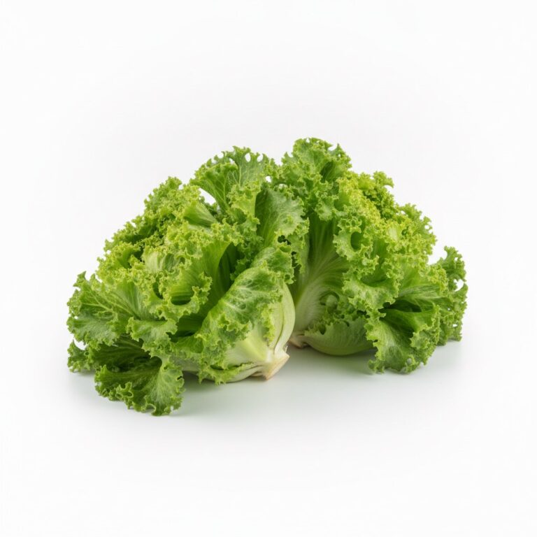 Lechuga lollo verde