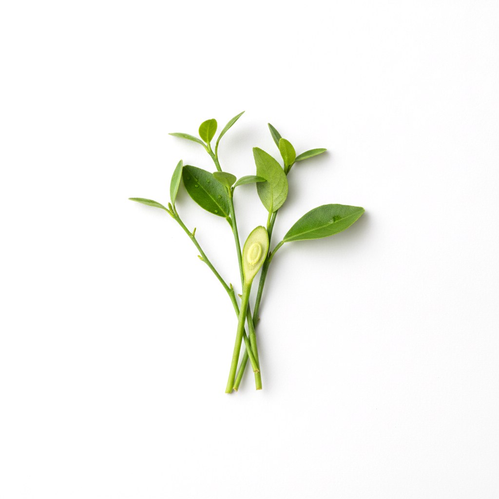 Brote de mandarina