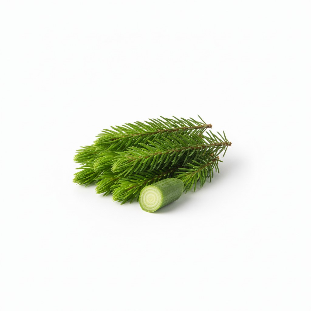 Brote de pino
