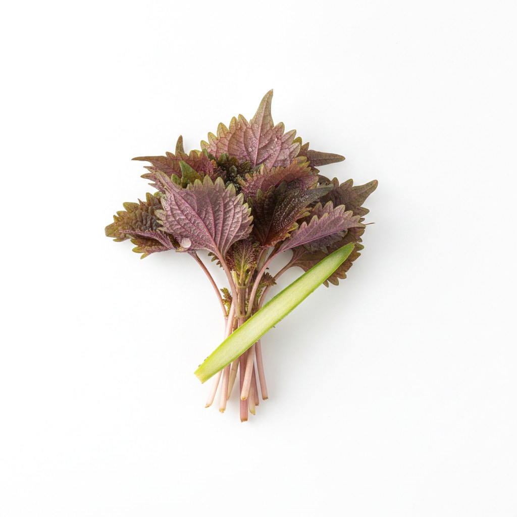 Brote de shiso rojo
