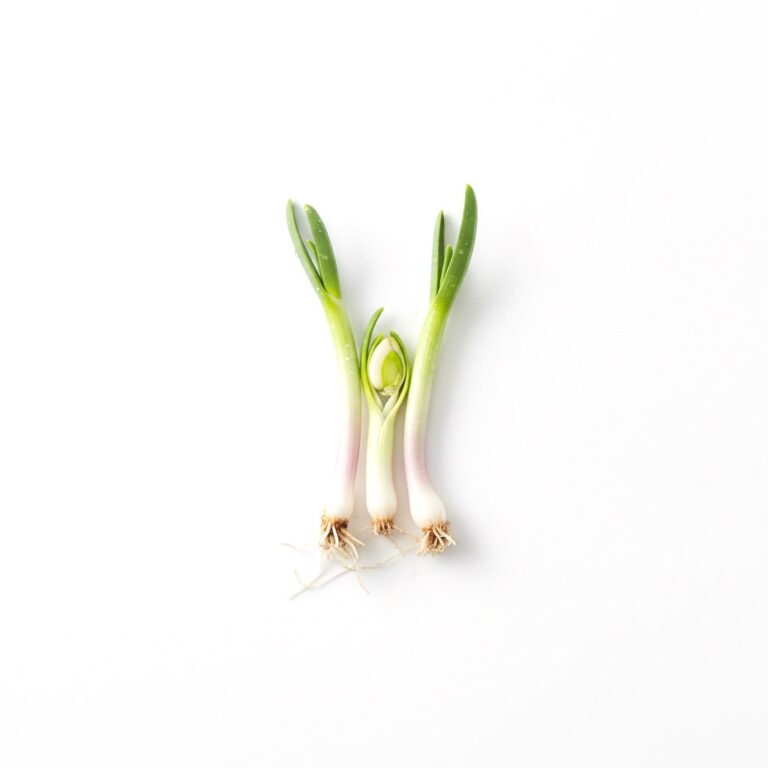 Germinado de ajo
