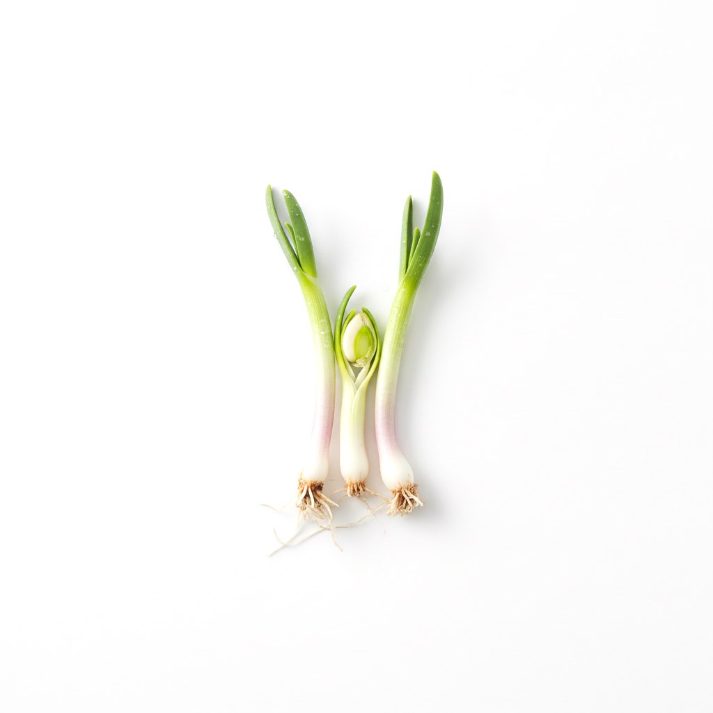 Germinado de ajo
