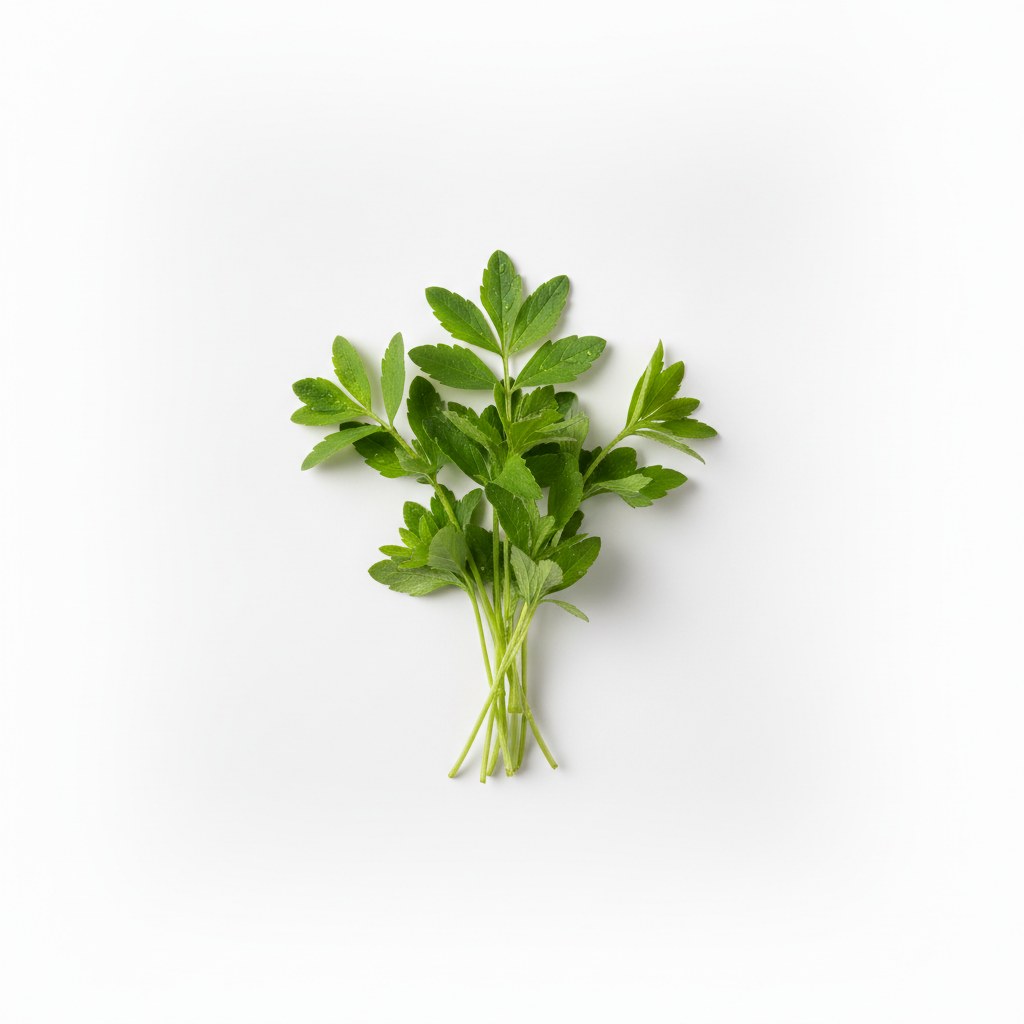 Aspérula
