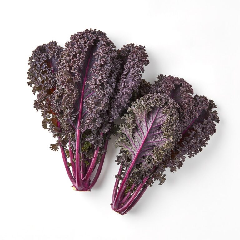 Kale rojo