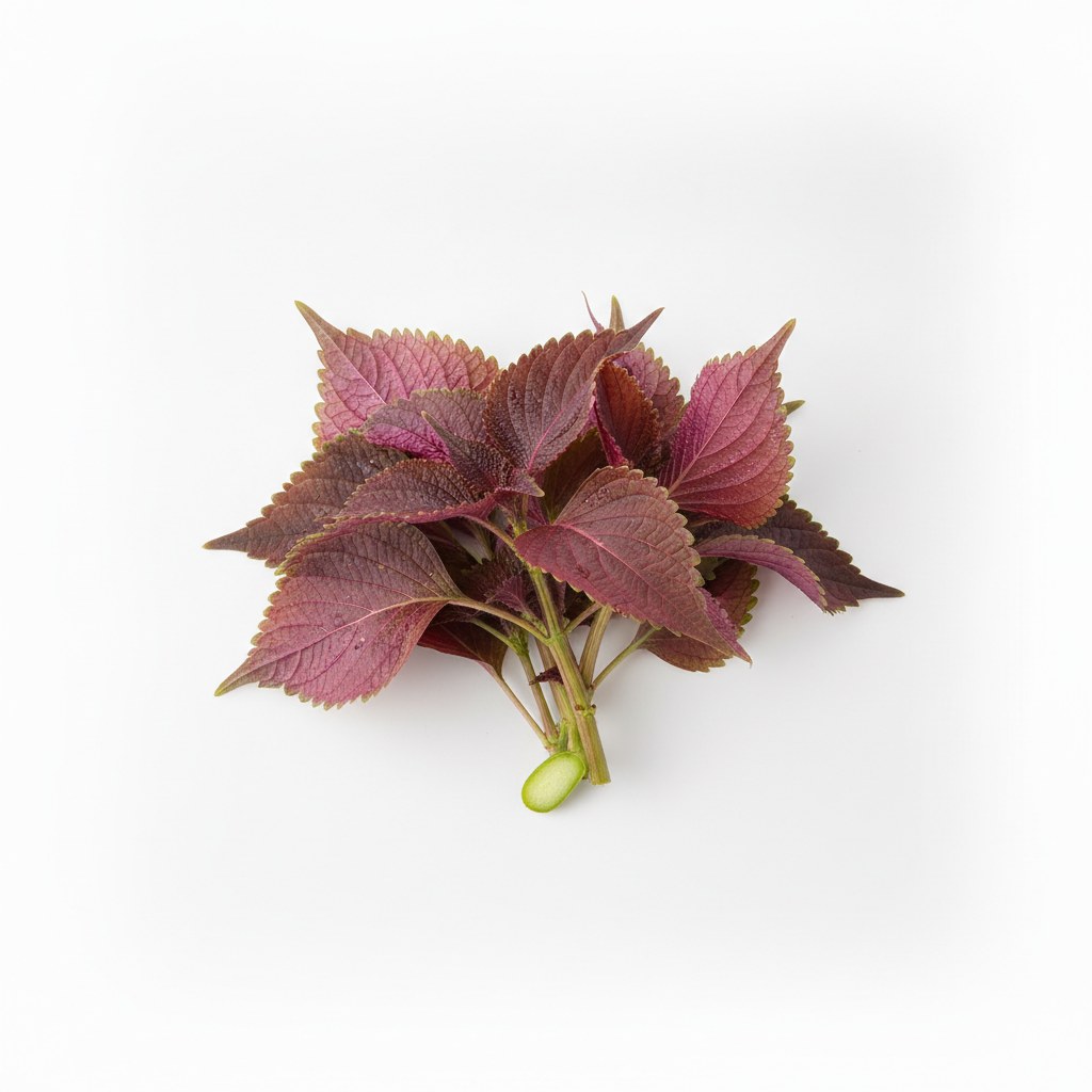 Shiso rojo