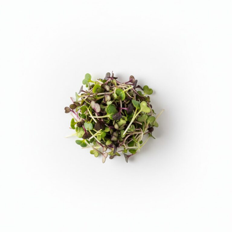 Micro Brotes