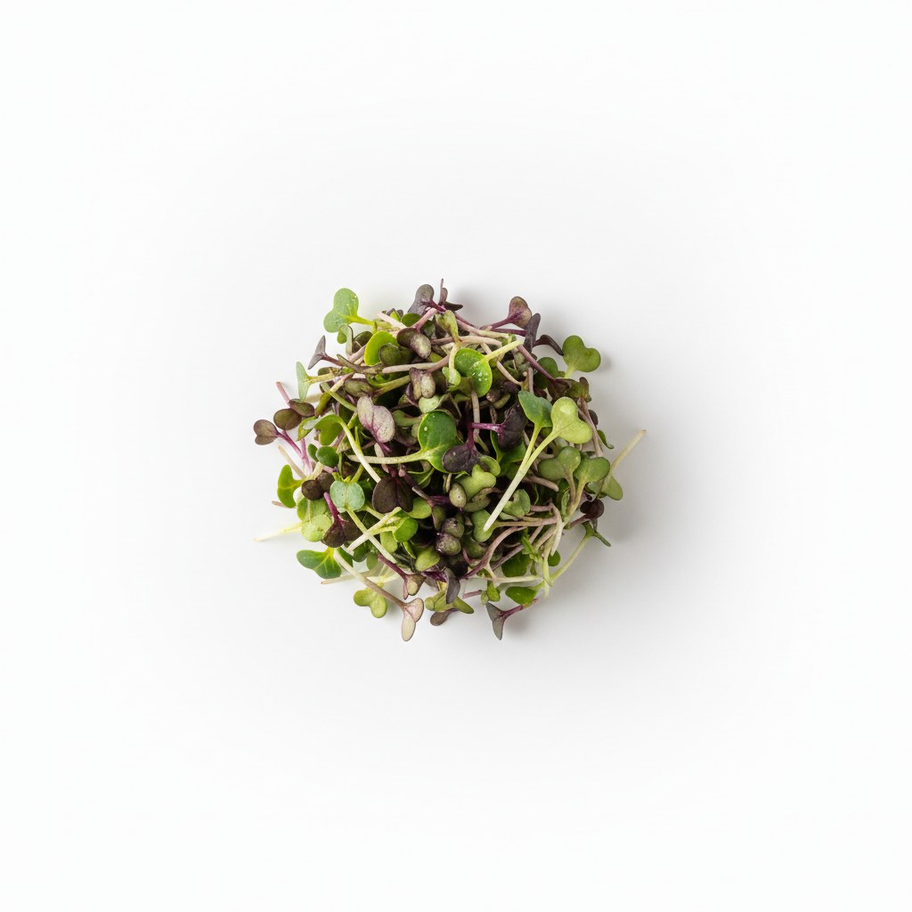 Micro Brotes
