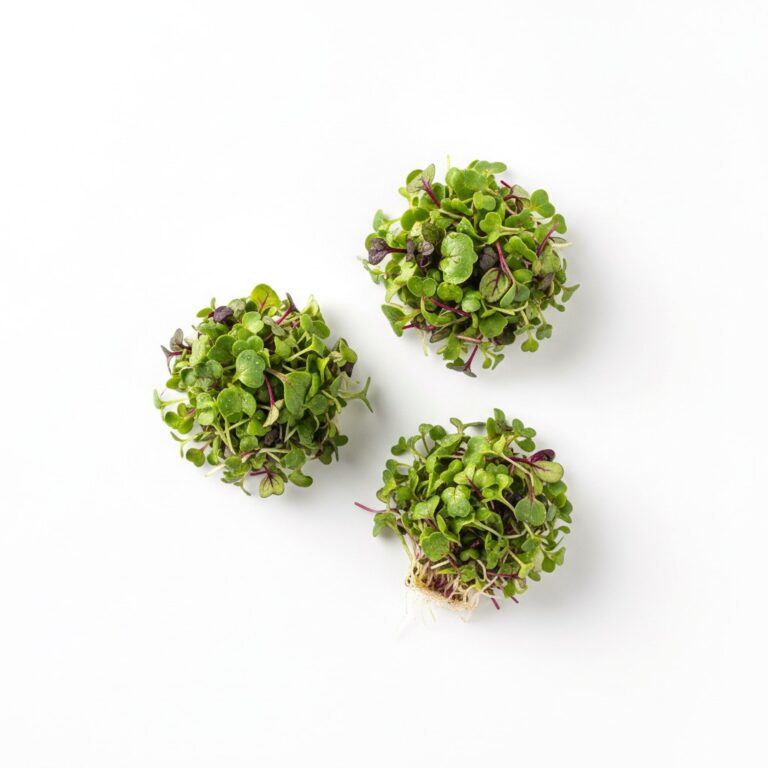 Micro Ensalada