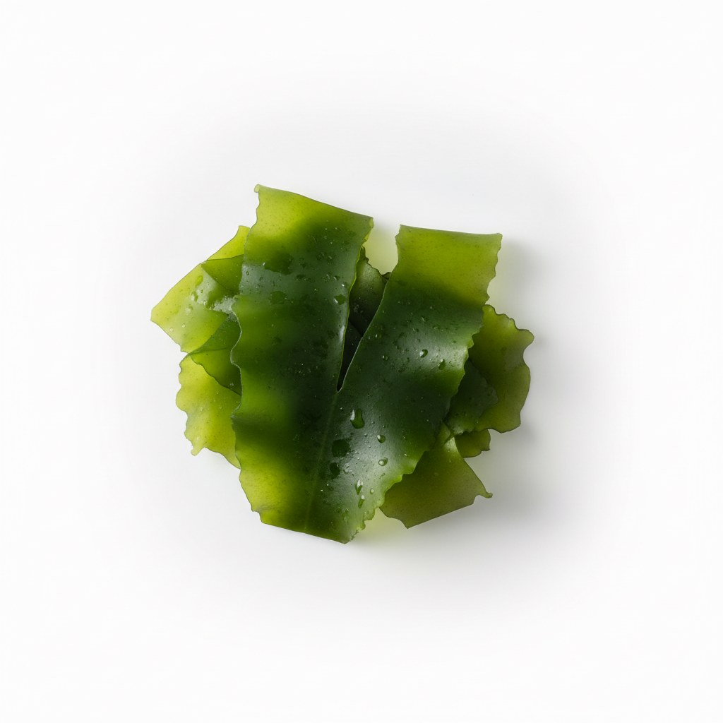 Lechuga de mar