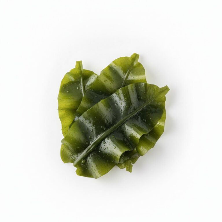Wakame