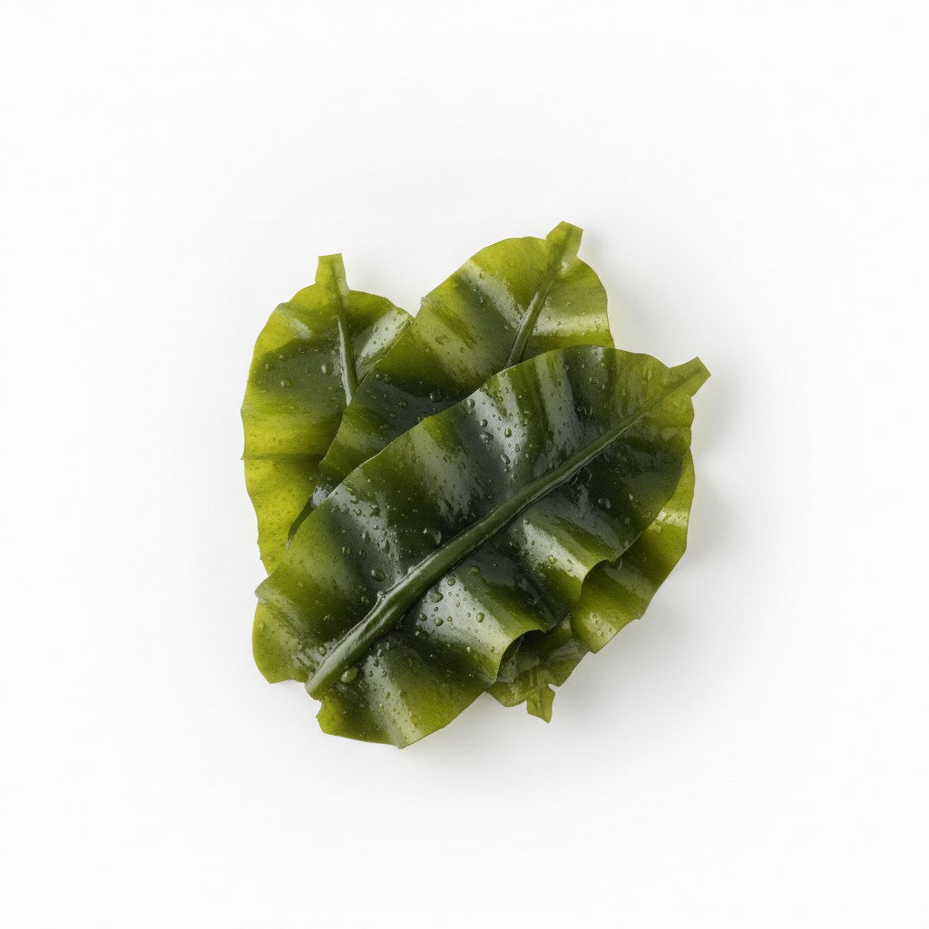 Wakame