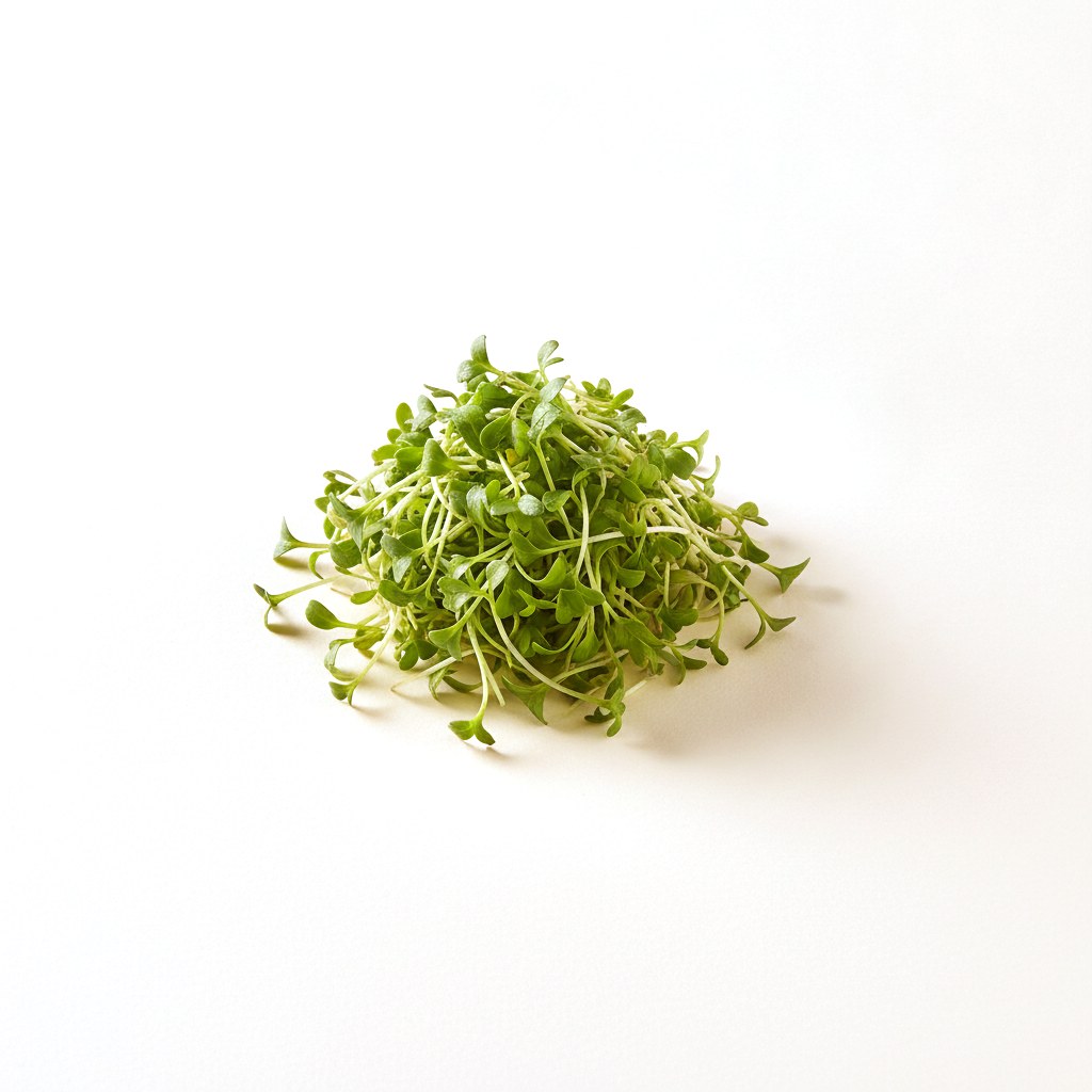 Brote de cilantro