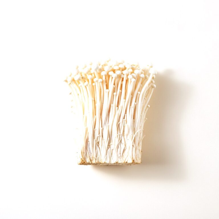 Enoki