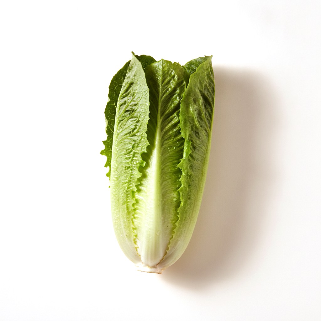 Lechuga romana