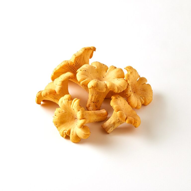 Rebozuelo