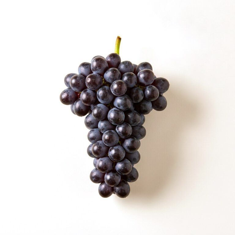 Uva negra
